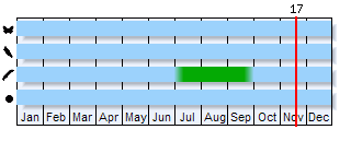 Phenogram based on the literature
