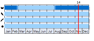 Phenogram based on the literature