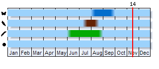 Phenogram based on the literature