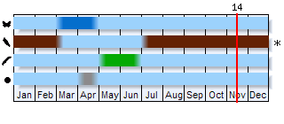 Phenogram based on the literature