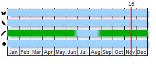 Phenogram based on the literature