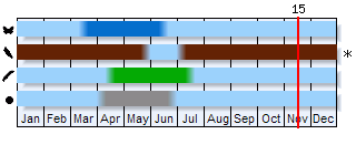 Phenogram based on the literature
