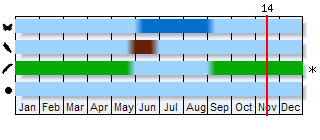 Phenogram based on the literature