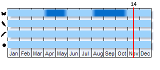 Phenogram based on the literature