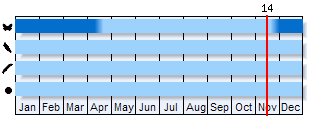 Phenogram based on the literature
