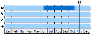 Phenogram based on the literature