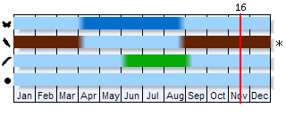 Phenogram based on the literature