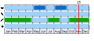 Phenogram based on the literature