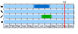Phenogram based on the literature
