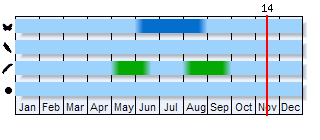 Phenogram based on the literature