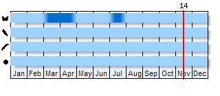 Phenogram based on the literature
