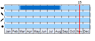 Phenogram based on the literature