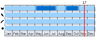 Phenogram based on the literature