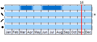 Phenogram based on the literature