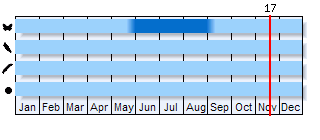 Phenogram based on the literature