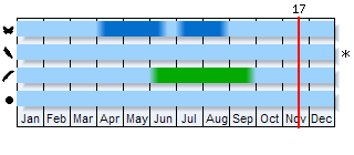 Phenogram based on the literature