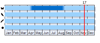 Phenogram based on the literature