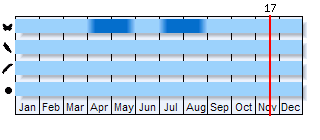 Phenogram based on the literature