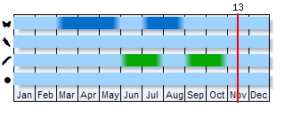 Phenogram based on the literature