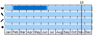 Phenogram based on the literature