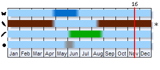 Phenogram based on the literature