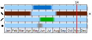 Phenogram based on the literature