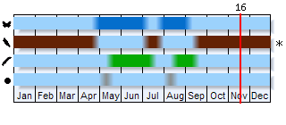 Phenogram based on the literature