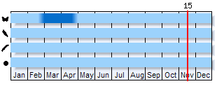 Phenogram based on the literature