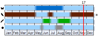Phenogram based on the literature