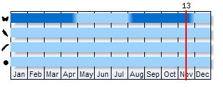 Phenogram based on the literature