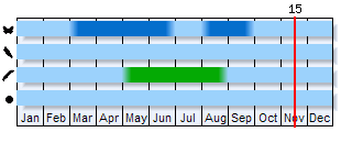 Phenogram based on the literature