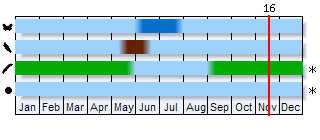 Phenogram based on the literature