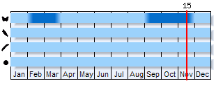 Phenogram based on the literature