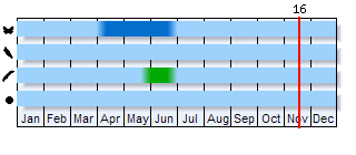Phenogram based on the literature