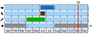 Phenogram based on the literature
