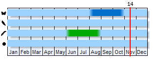 Phenogram based on the literature