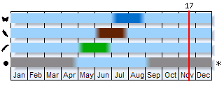 Phenogram based on the literature