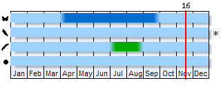 Phenogram based on the literature
