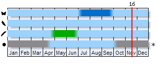 Phenogram based on the literature