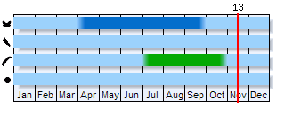 Phenogram based on the literature