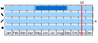 Phenogram based on the literature