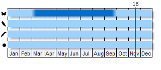 Phenogram based on the literature