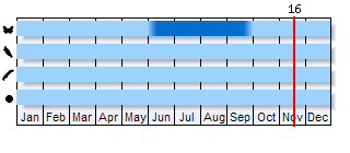 Phenogram based on the literature