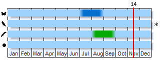 Phenogram based on the literature