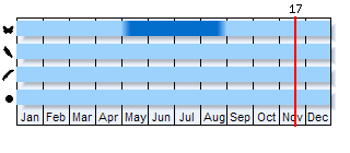Phenogram based on the literature