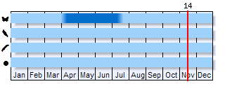 Phenogram based on the literature