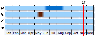 Phenogram based on the literature