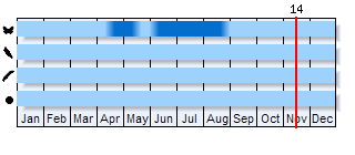 Phenogram based on the literature