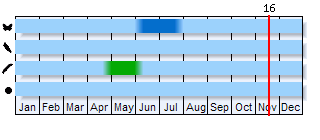 Phenogram based on the literature