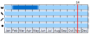 Phenogram based on the literature